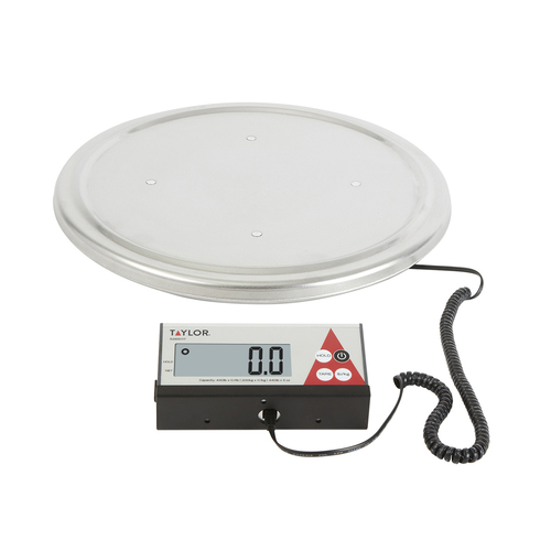 Taylor Stainless Steel Digital Scale