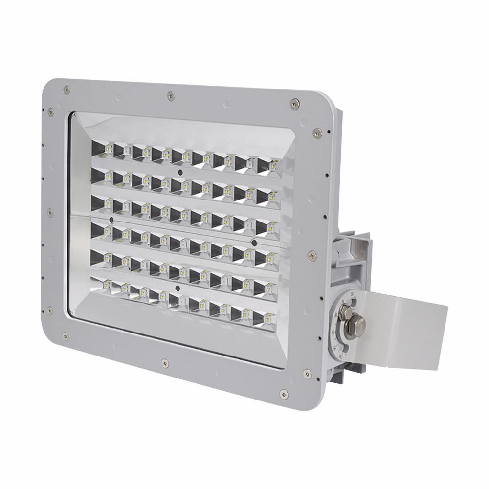 P62 C-HINDS LENS GUARD FOR FLOOD GEN 2