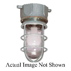 GKT2002SIL C-HINDS LMPHDLR GKT PER 10