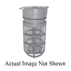 TP7600 C-HINDS VP CLR GLOBE,CAST GUAR 78618907600