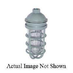 TP7600 C-HINDS VP CLR GLOBE,CAST GUAR 78618907600