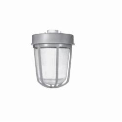 VXH15GP C-HINDS VAPORGARD 150W A21 BODY W/ GLOBE/GUARD 78227470430