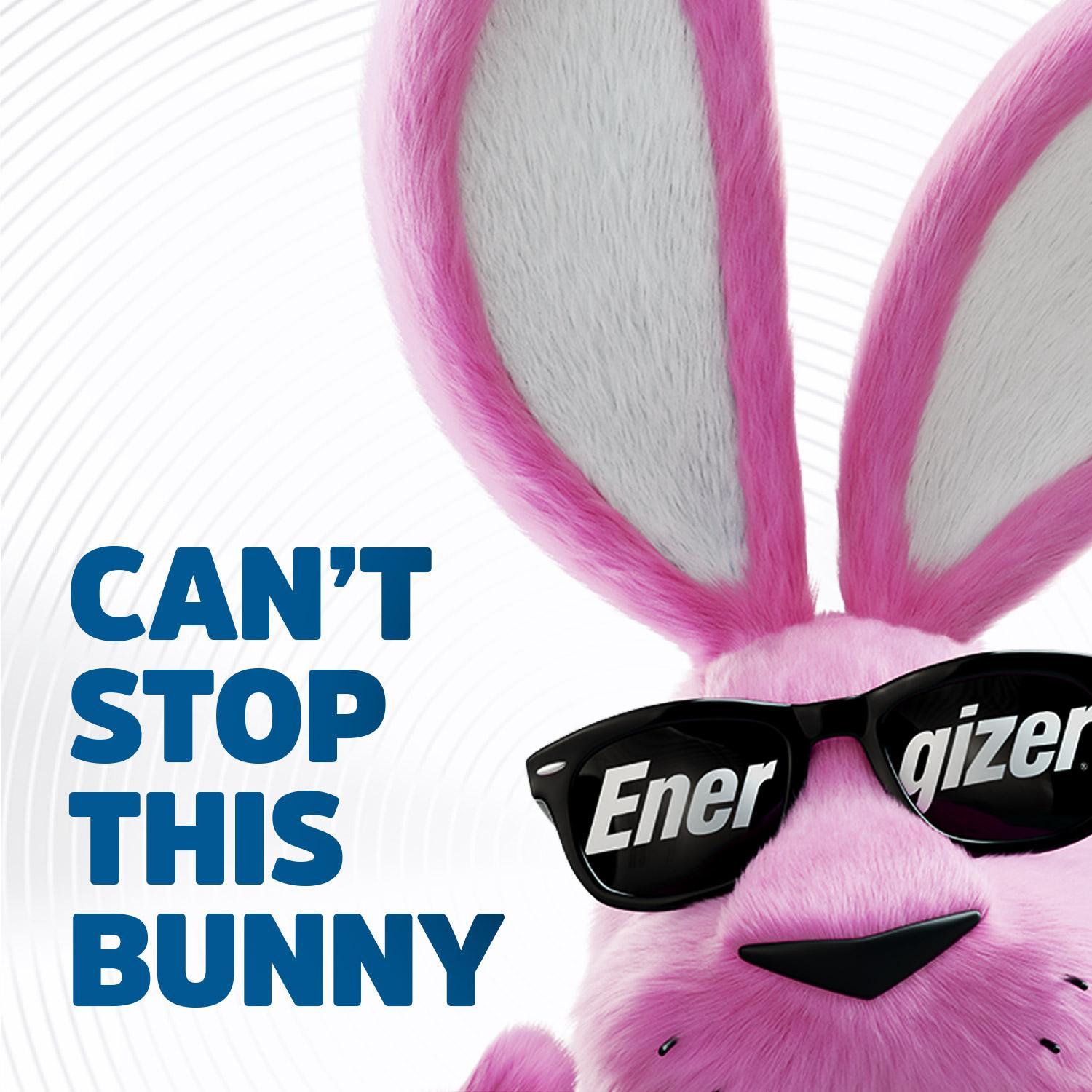 L92SBP-4 EVEREADY LITHIUM BATTERY ENERGIZER (12 - 4 PKS) ZZZZ