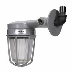 VXHT25GP C-HINDS 3/4 WALL MNT VAPORGARD 150W A21 W/ GLOBE/GUARD 78227471430