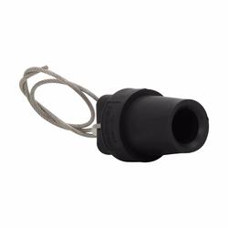 A100601-19 C-H CONN E1016 M PROT CAP W/CORD RD 66227522919