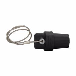 A100601-19 C-H CONN E1016 M PROT CAP W/CORD RD 66227522919