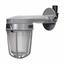 VXHT25GP C-HINDS 3/4 WALL MNT VAPORGARD 150W A21 W/ GLOBE/GUARD 78227471430