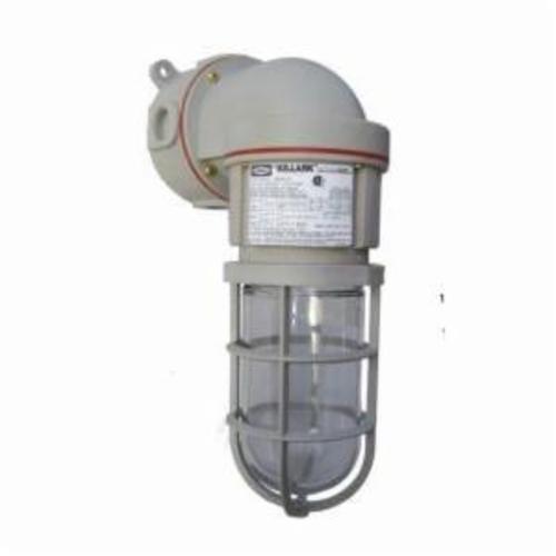 NV2FG26BSG HUBB FL26 120-277 WALL STD GLOB/GRD 78393605078