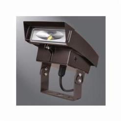 XTORFLD-TRN LUMARK TRUNNION BASE FOR CROSSTOUR FIXTURE