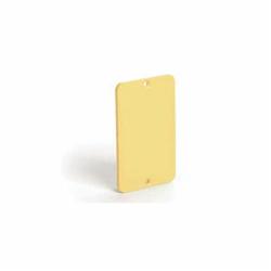 3054 WHD 1G BLANK PLATE ONLY 1301380023