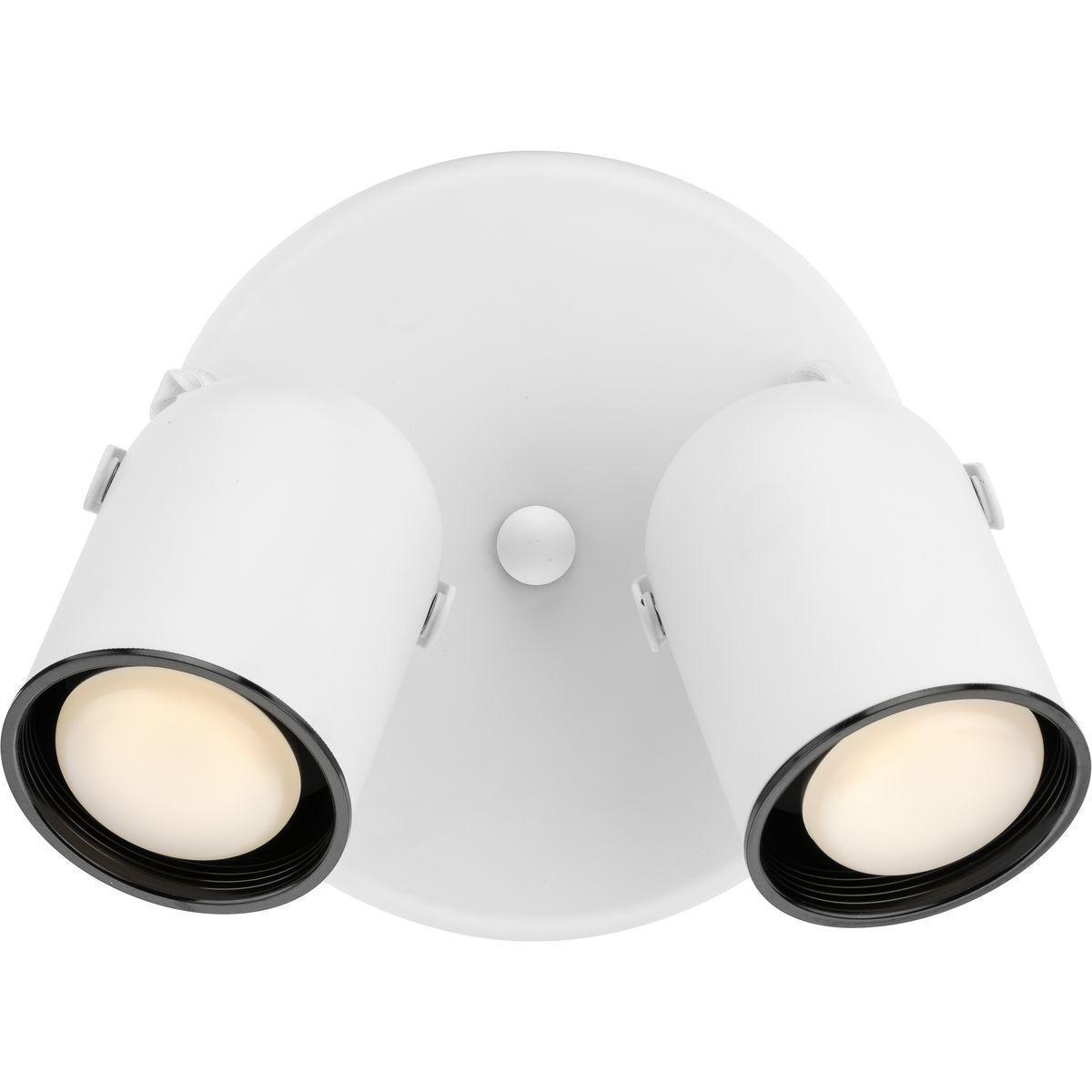 P6149-30 PRO ADJ WALL/CLG 2-50W PAR20