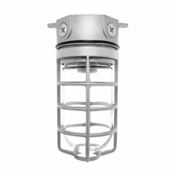 VX100DG RAB VAPORPR00F 100W DC CEILING FIXT W/1/2"BOX GLOBE & GUARD