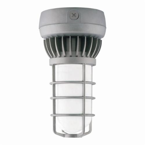 VXLED26NDG RAB VAPORPROOF LED 26W NEUTRAL GL FROSTED GLOBE DIECAST GD CEIL