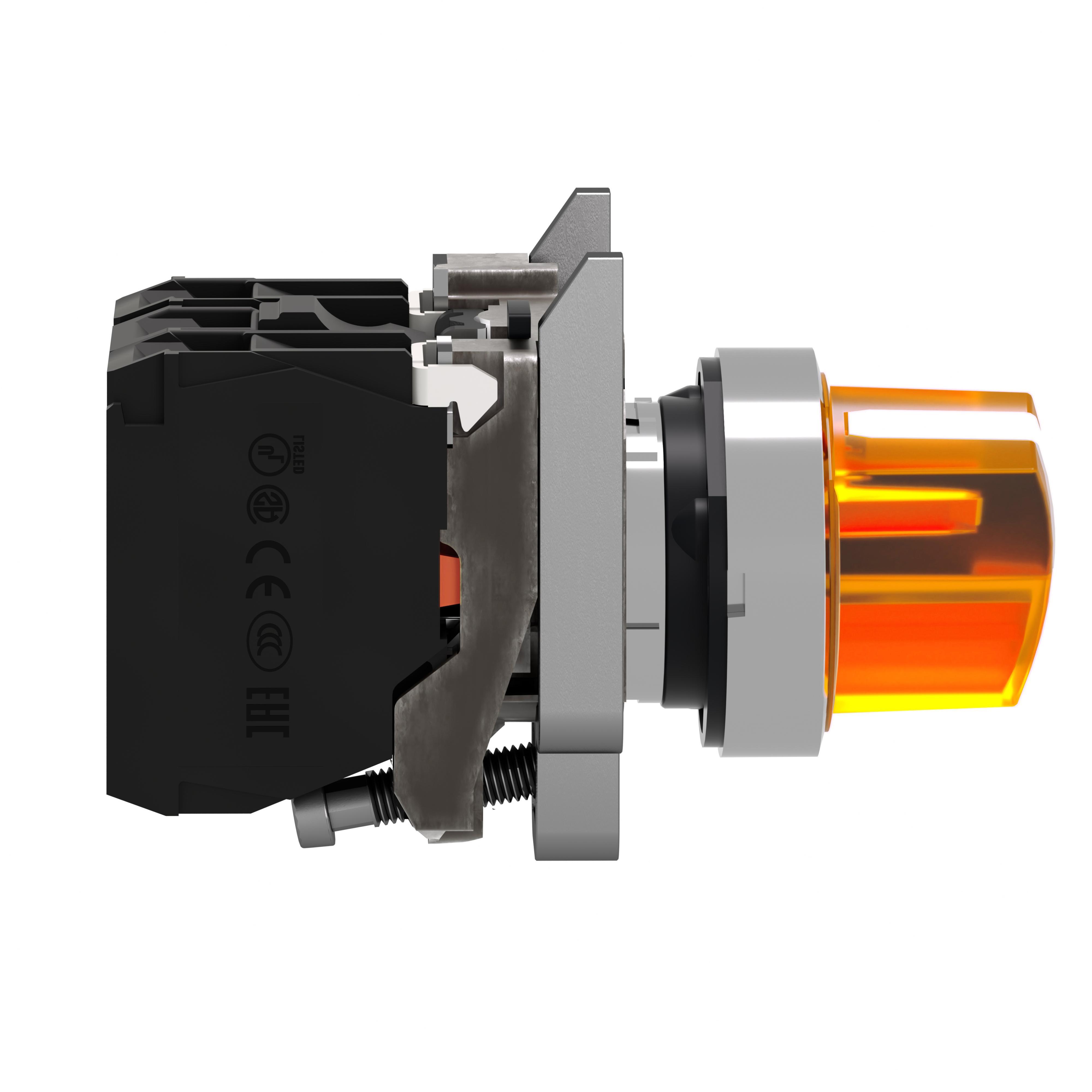 XB4BK125B5 SQD GR ILL 2 POS