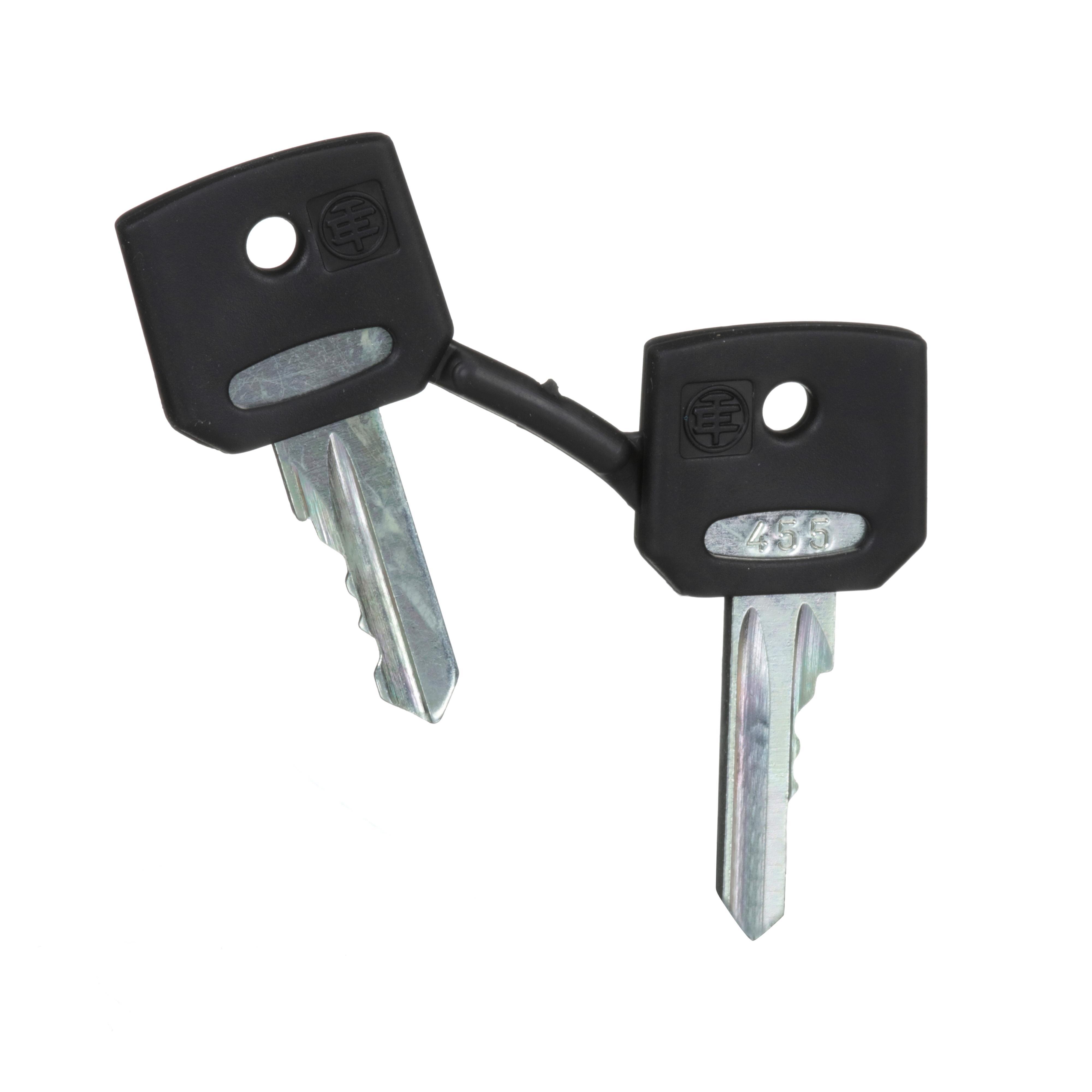 ZBG455 SQD REPLACEMENT KEY