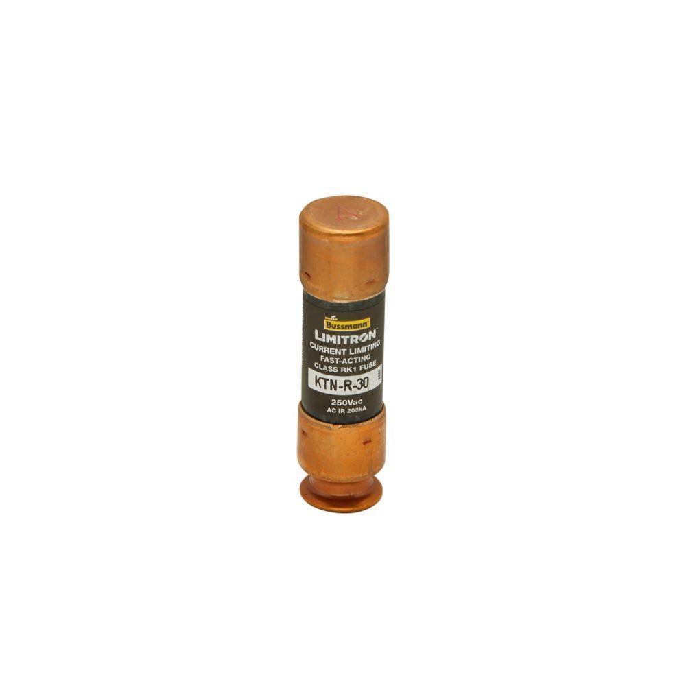 KTNR1 BUSS 250V RK 1 FUSE