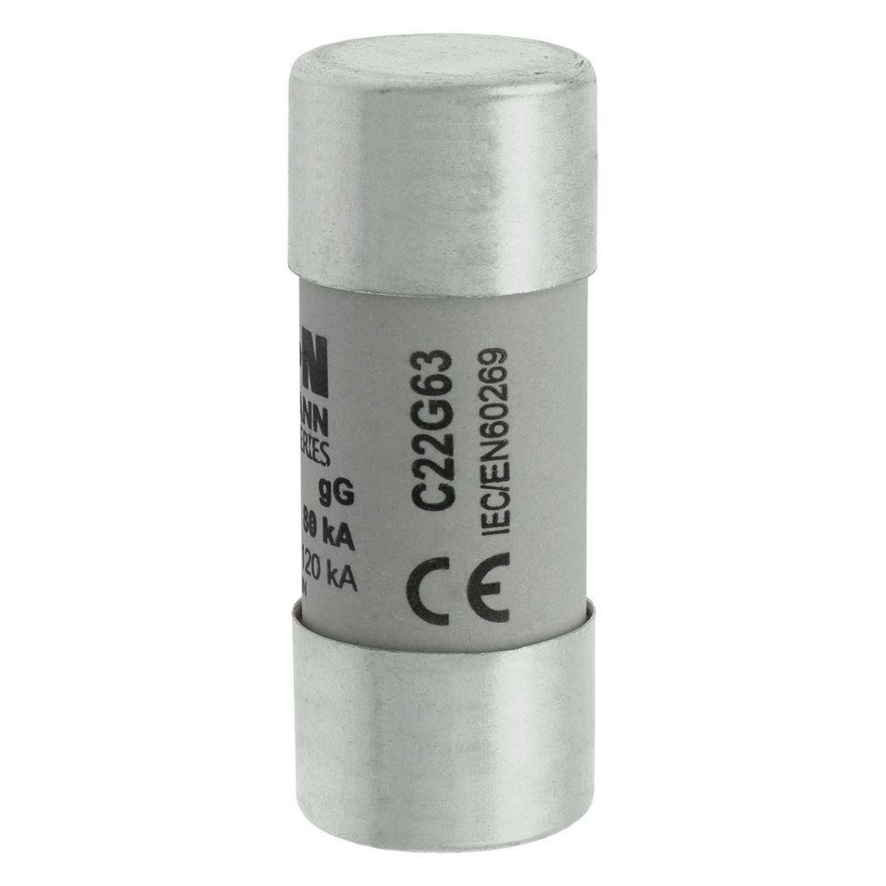C22G63 BUSS CYLINDRICAL FUSES