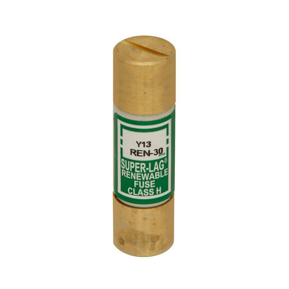 REN6 BUSS 250V FUSE RF6
