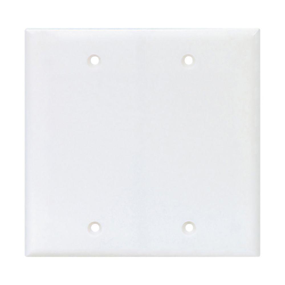 PJ23W CWD WALLPLATE 2G BLANK BOX