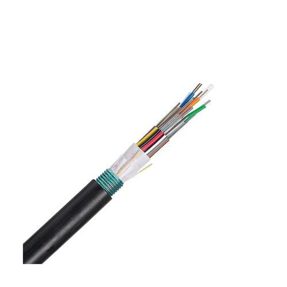 FOWNZ24 PANDUIT
