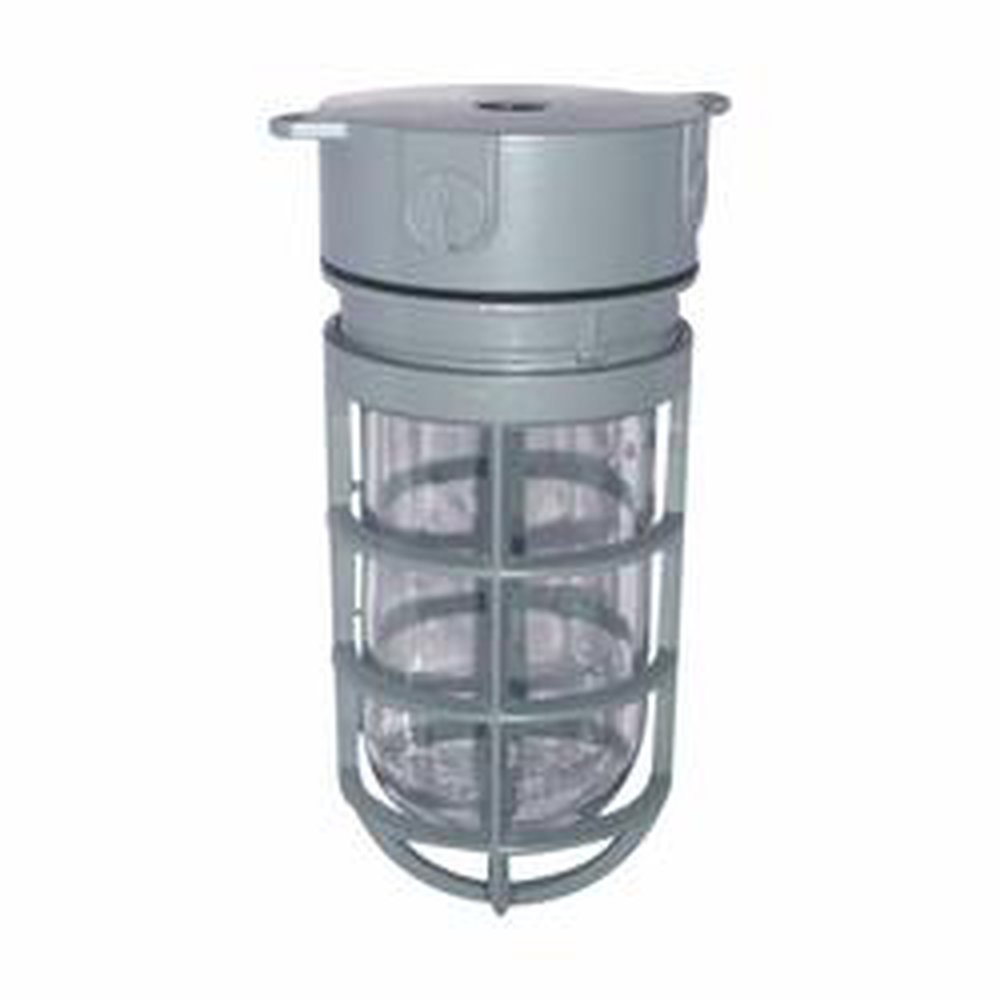 TP7600 C-HINDS VP CLR GLOBECAST