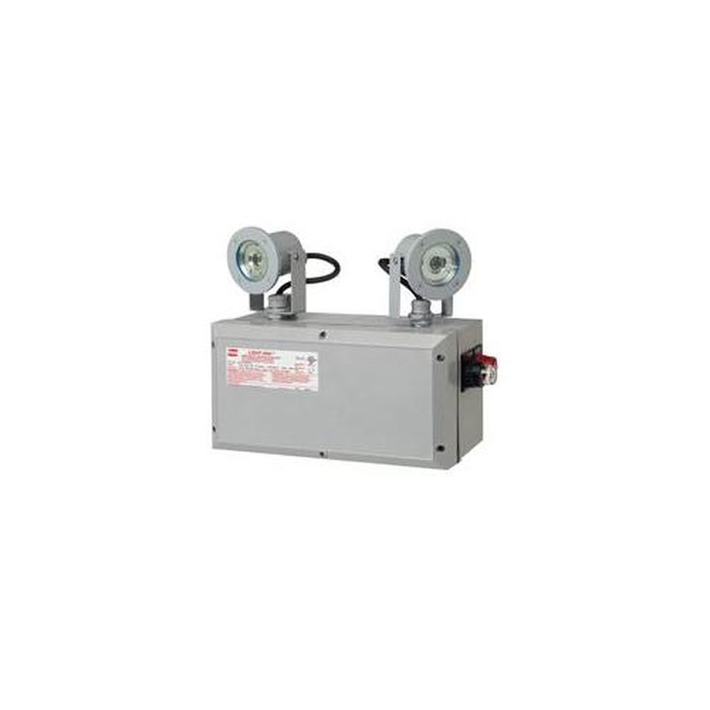 N2LPS:21G04001 C-HINDS EMERGENCY