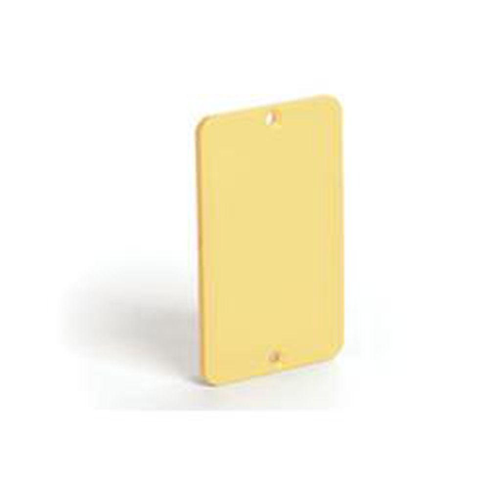 3054 WHD 1G BLANK PLATE ONLY