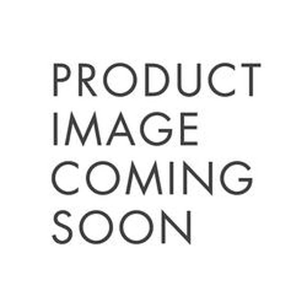 455E NSI DIGITAL PLUG IN 2 GROUNDED