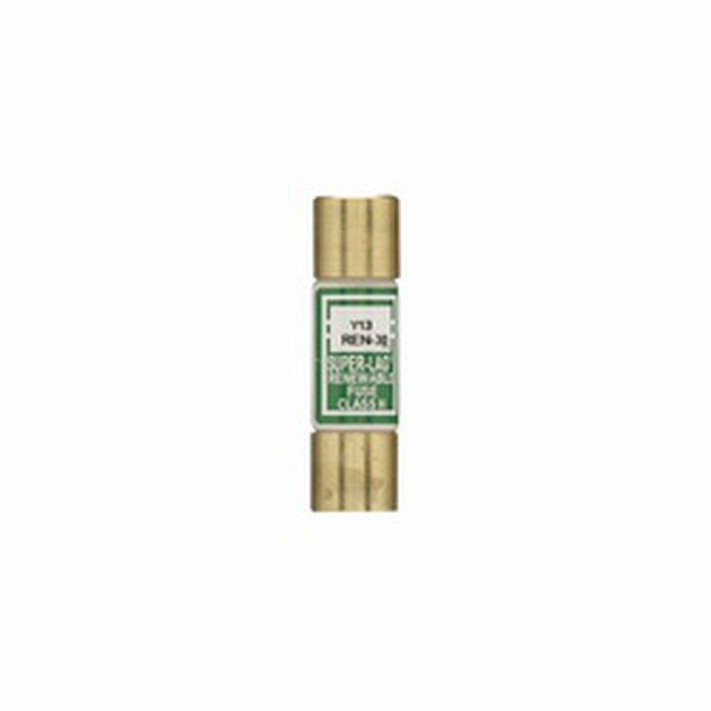 REN30 BUS 250V FUSE RF30 (1)