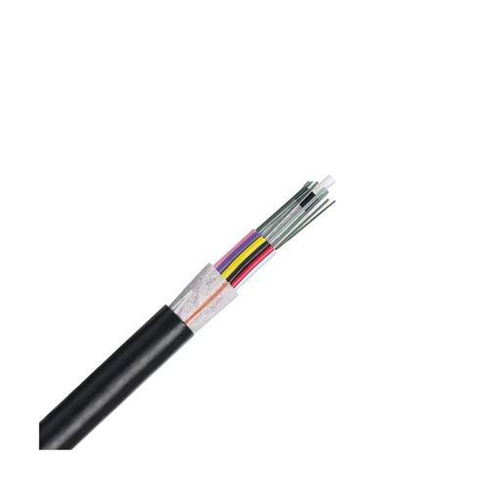 FOTNZ24 PAN 24-FIBER OM4 10GBE MM
