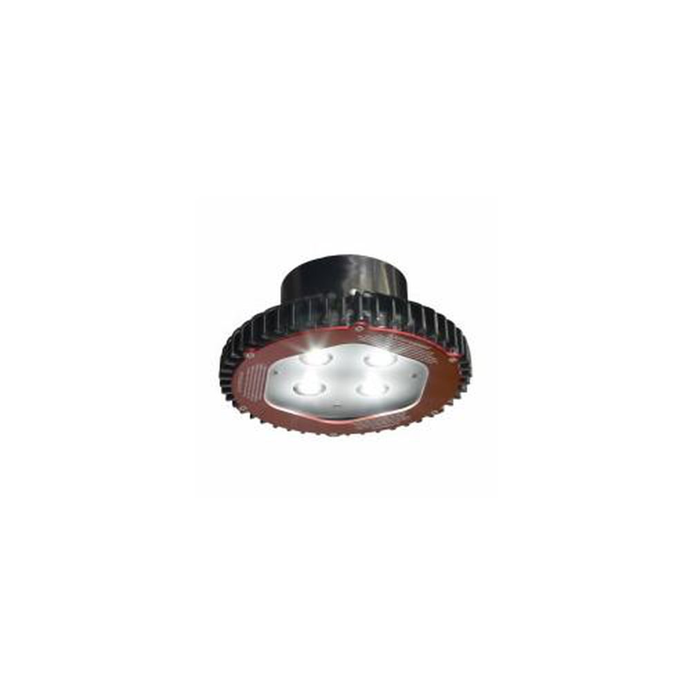 V2LCA1/UNV1 C-HINDS LED LT PND MTN