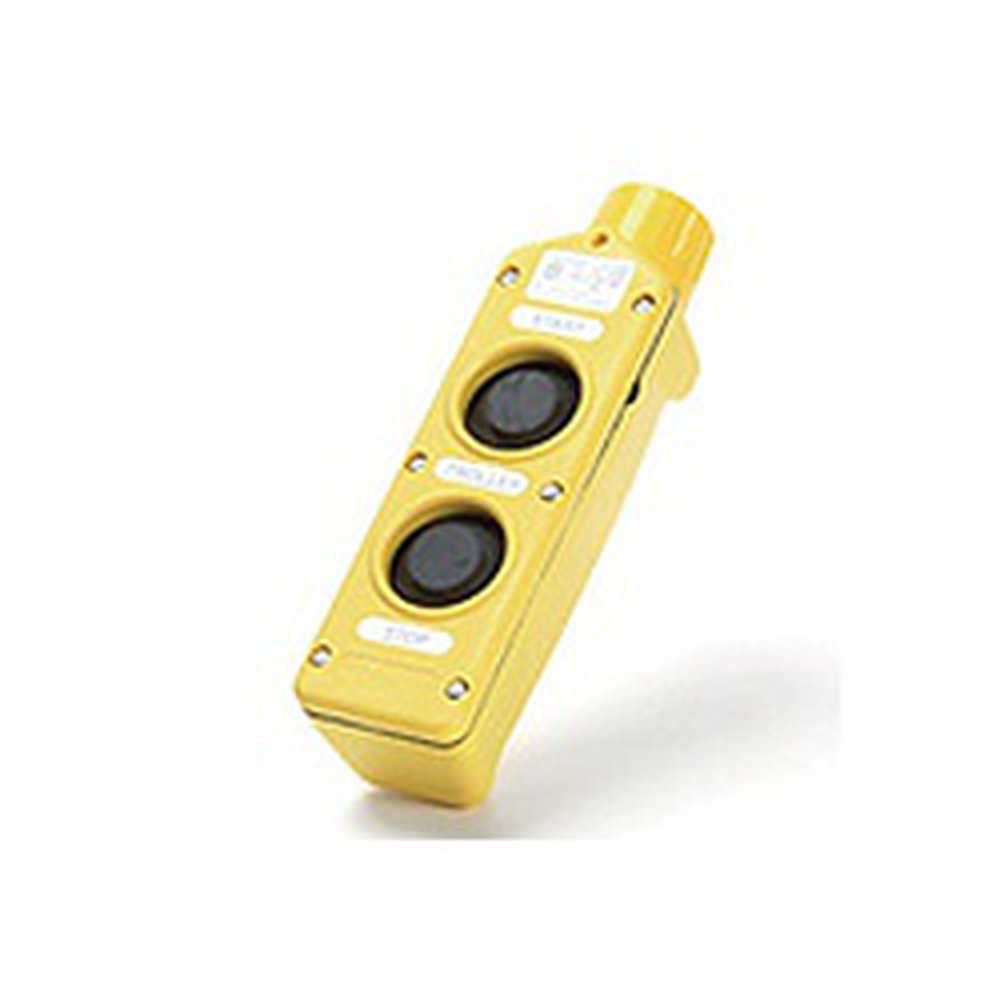 4052 WHD 2PB PENDANT STATION