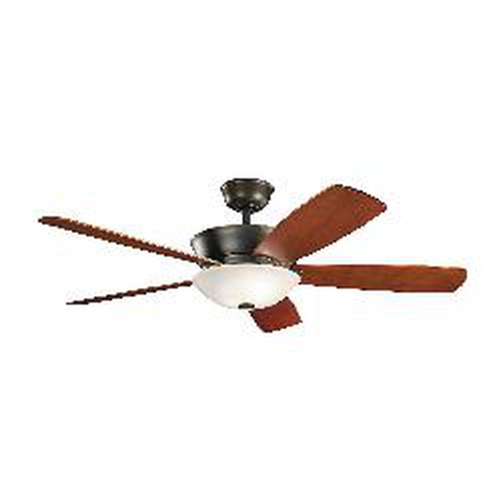 300167OLZ KICHLER 54 INCH SKYE FAN