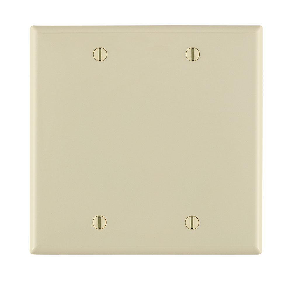 80725-T LEV 2G NYLON PLATE BLANK LT