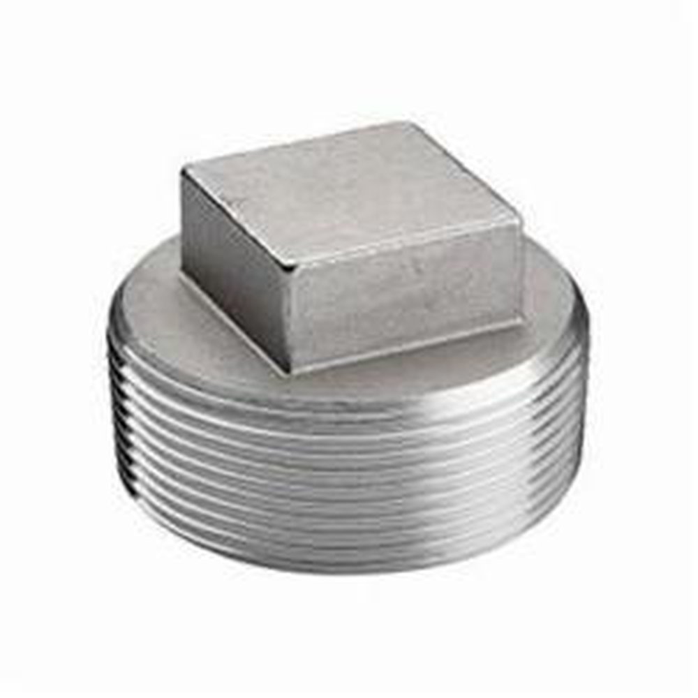 (I) 2 T316 SS SQ HEAD PLUG
