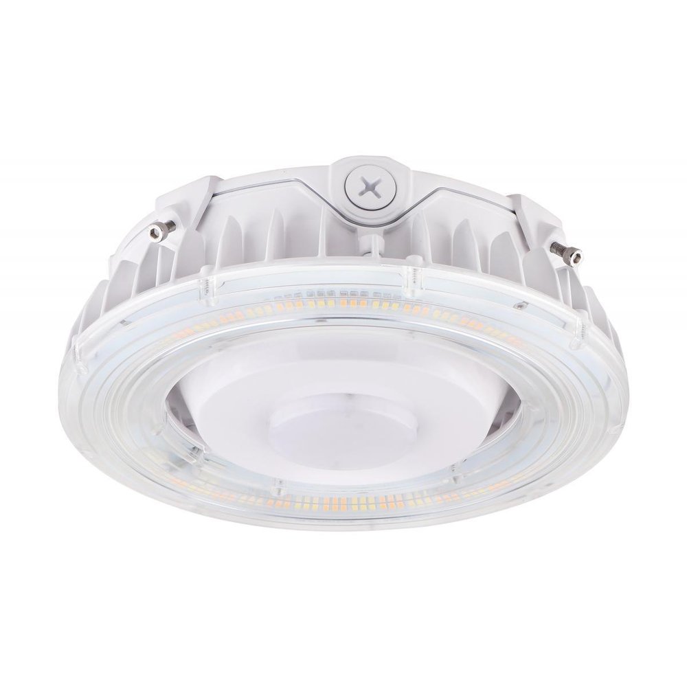 65/623 SATCO LED CANOPY FIXTURE 25