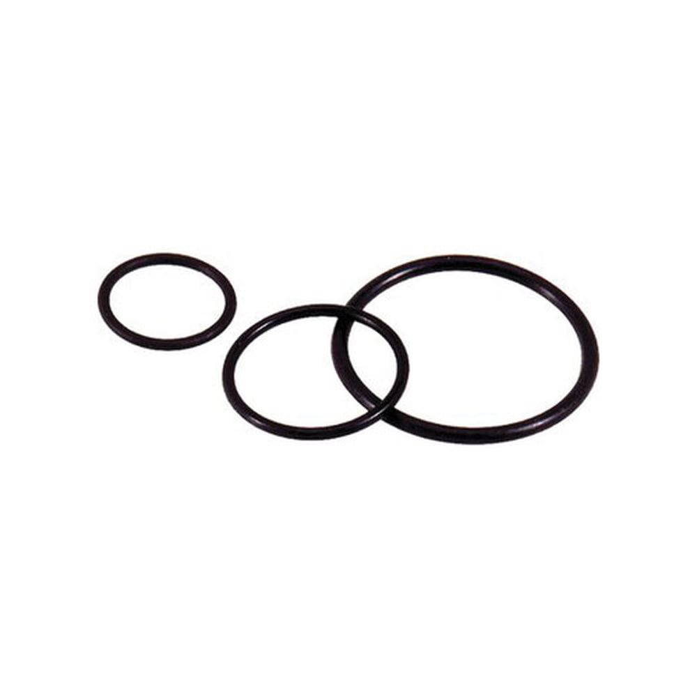 52005750 OLF O-RING PG21