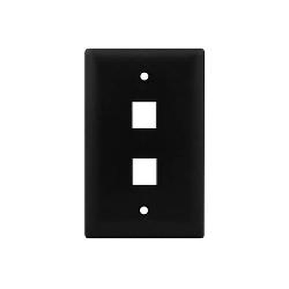 WP3402-BK P&S 1G WALL PLATE 2-PORT