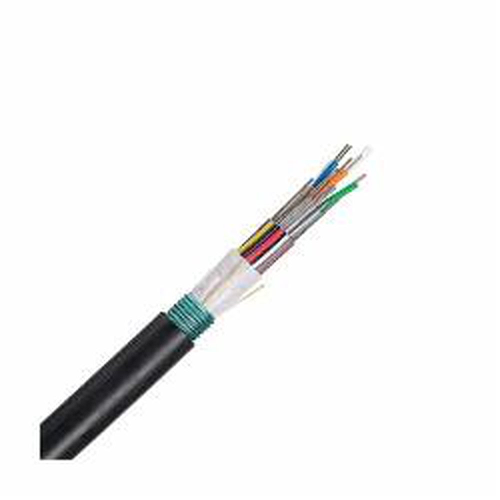 FSWN912 PAN 12-FIBER OS2 SM