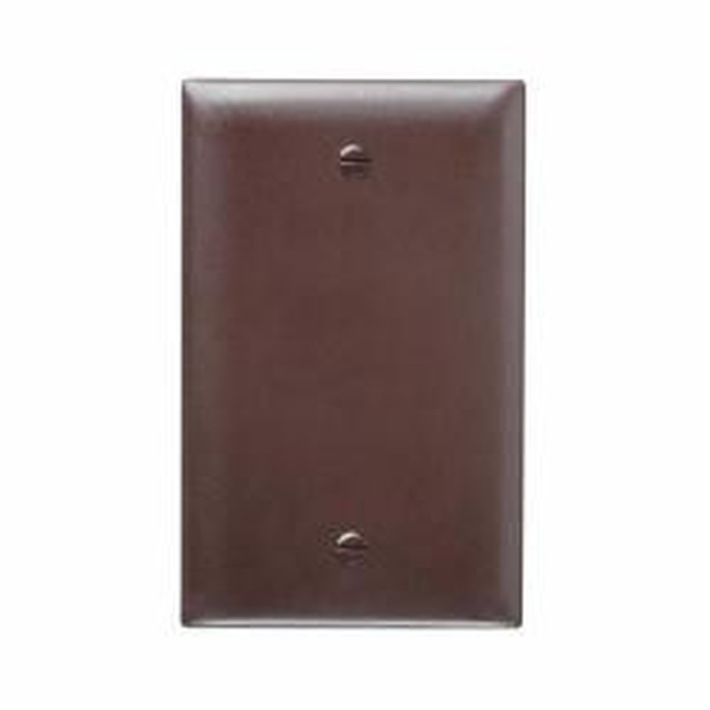 TP13 BLANK BRN WALL PLATE P&S