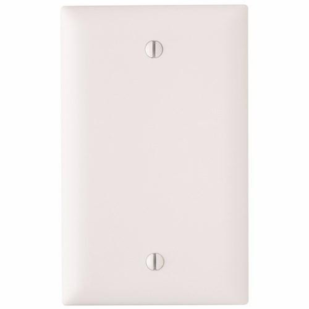 TP13-W P&S WHT 1G NYLON BLANK PLATE