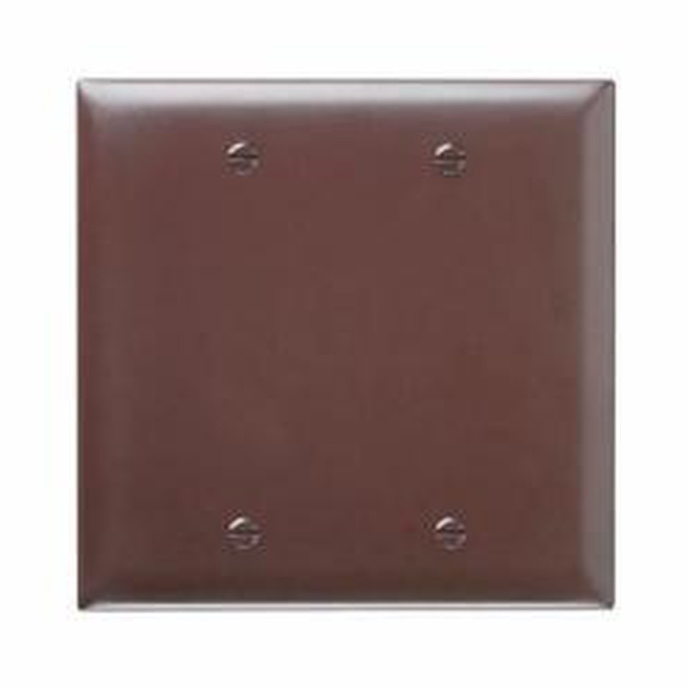 TP23 P&S TM BROWN 2G BLANK WP
