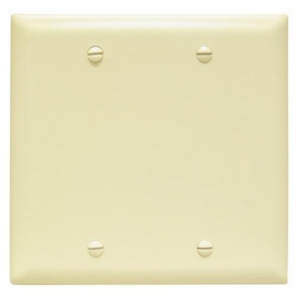 TP23I P&S TM IVORY 2G BLANK WP