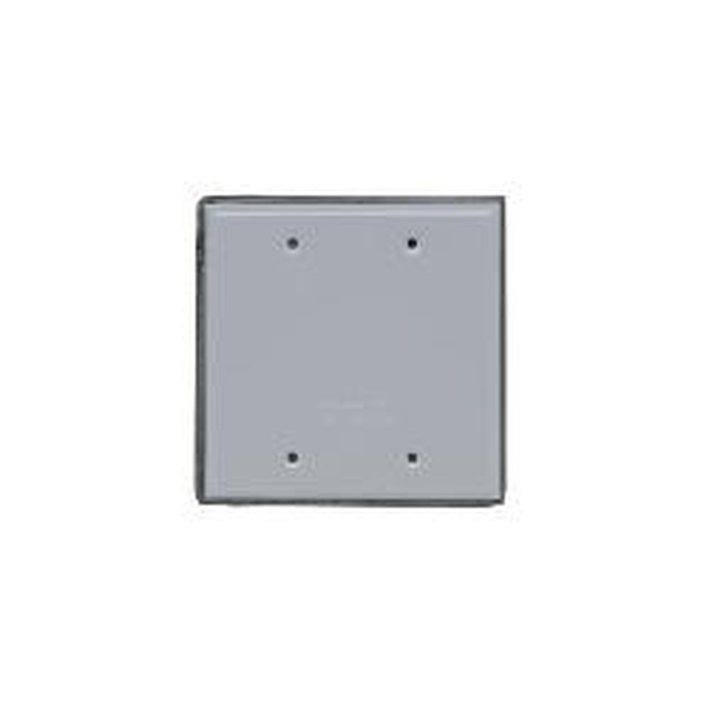 WPB2 P&S WP COVER 2G BLANK W/GASKET