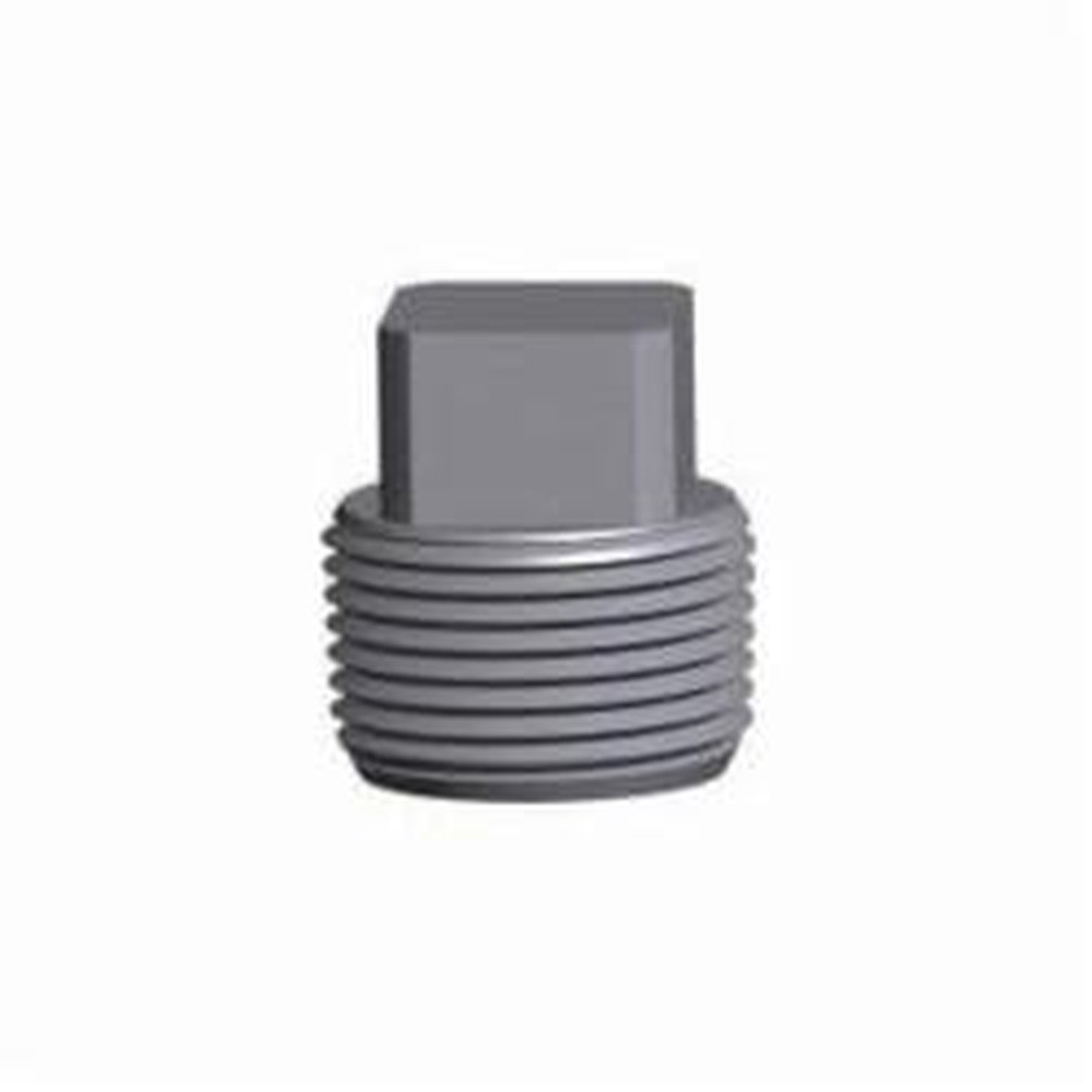 (D) 1-1/4 3M/6M FS SQ HEAD PLUG