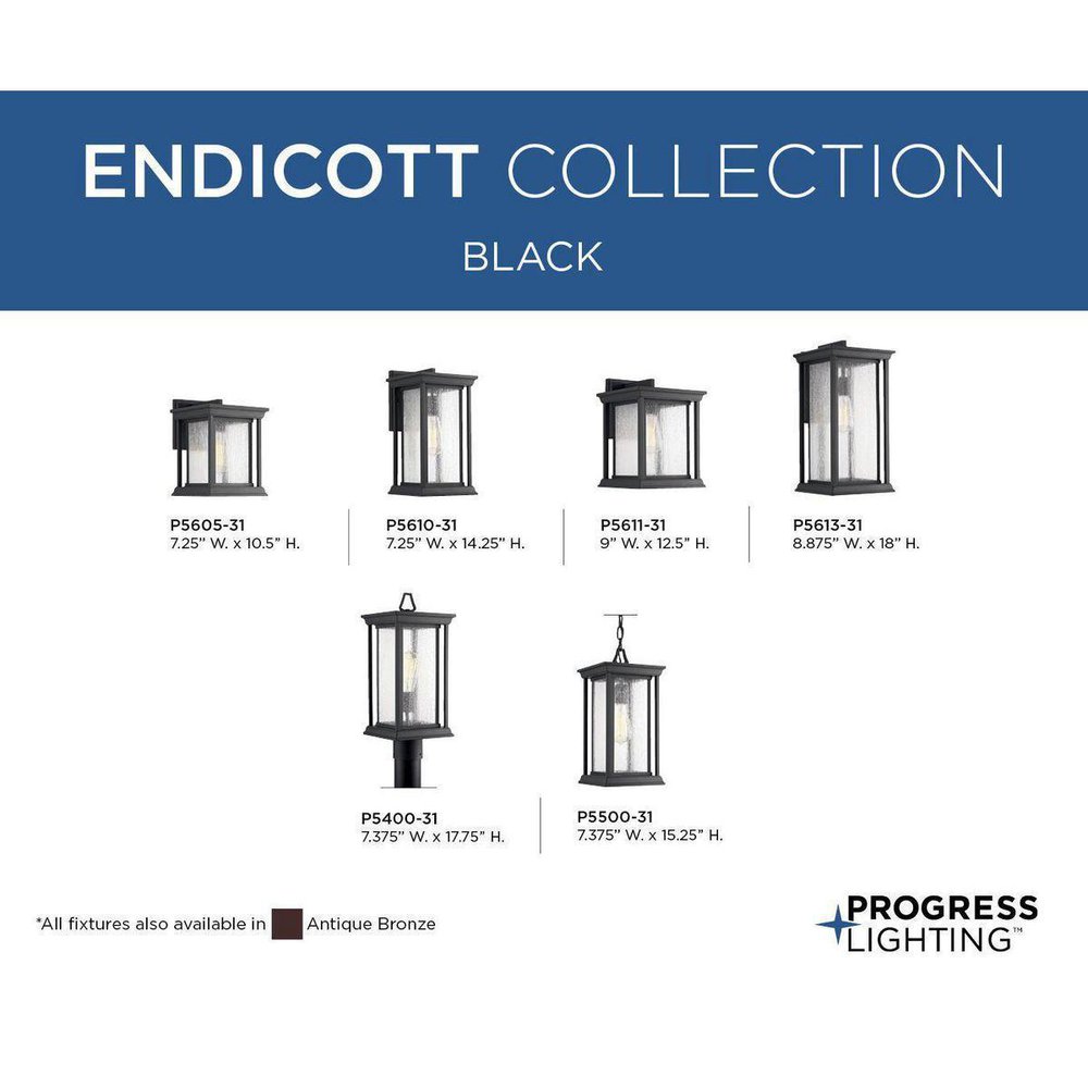 P5500-31 PROGRESS ENDICOTT 1-LIGHT