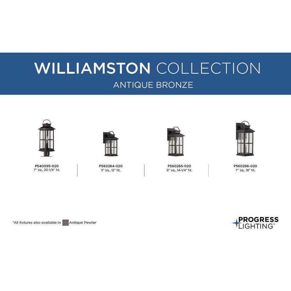 P540095-020 PROGRESS ONE-LIGHT