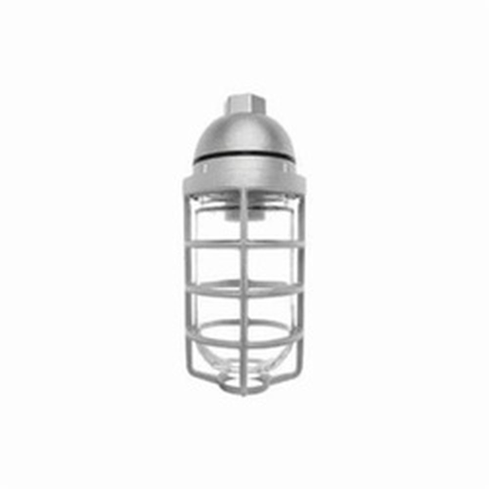 VP100DG PENDANT FIXT W/GLB&GRD RAB