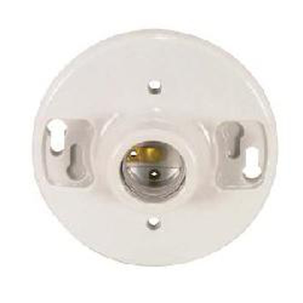 90/445 SATCO MEDIUM BASE GLAZED