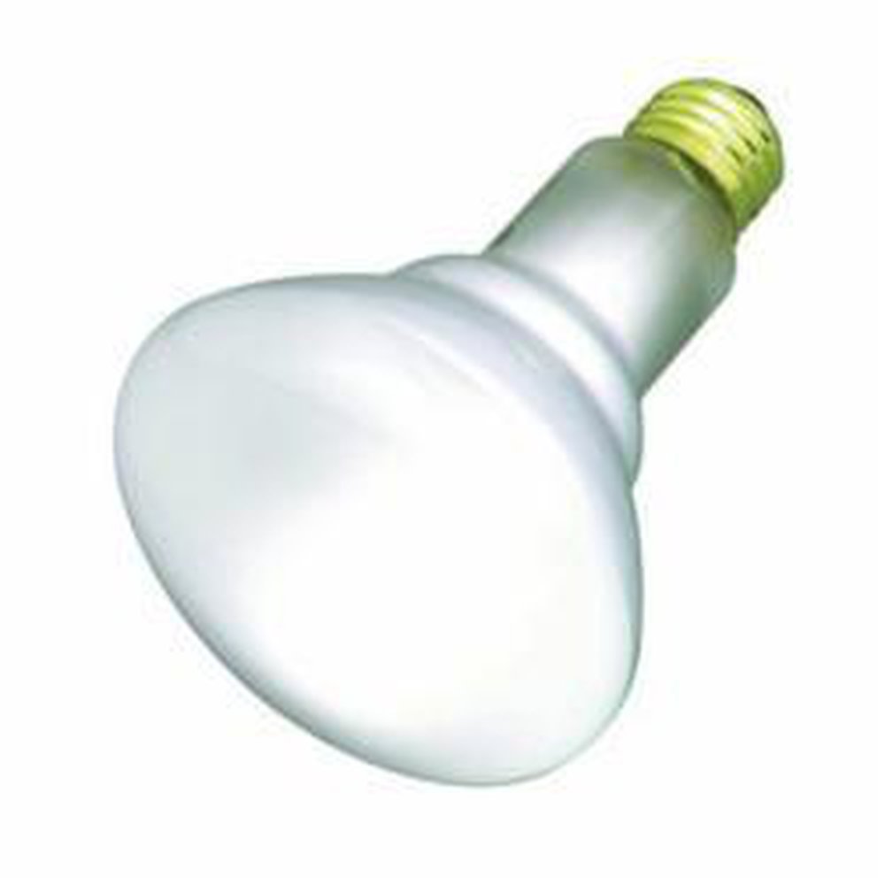 S2810 SATCO 30 WATT R20